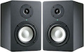 Колонки Axelvox PM-5A (2.0) черный 75W