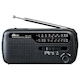 Радиоприемник портативный Ritmix RPR-7040 черный