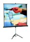 Экран Projecta Professional 213x213см MW на штативе 1:1