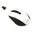 Беспроводная мышь Gembird MUSW-203WBK, бел./черн, 3кн.+колесо-кнопка, 2.4ГГц