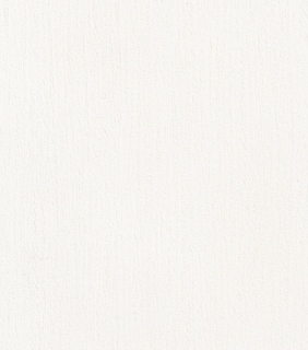 Клен светлый N101