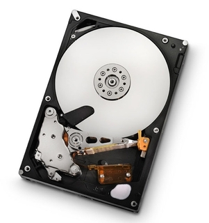 Жесткий диск HDS DF700 146GB FC 10K (2x)