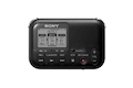 Цифровой диктофон Sony ICDLX30B.CED 2Gb