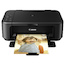МФУ Струйный Canon Pixma MG2245 (6221B025)