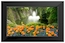 Фоторамка Texet 7" TF-317 800x480 черный Пластик