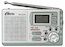 Радиоприемник Ritmix RPR-3021 Серебристый