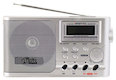 Радиоприемник Ritmix RPR1380 Серебристый