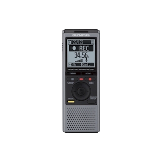 Цифровой Диктофон Olympus VN-731PC 2Gb Grey
