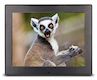 Фоторамка Digma 8" PF-870 800x600 черный металл ПДУ Видео