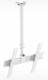 Кронштейн телевизионный Holder PR-101-W белый 32"-65" макс.60кг потолочный фиксированный