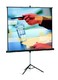 Экран Projecta Professional 213x213см MW на штативе 1:1