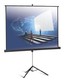 Экран Projecta ProView 152x152см MW на штативе 1:1