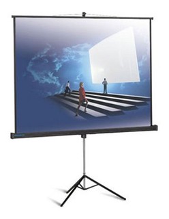 Экран Projecta на штативе ProView 178x178см Matte White (10430113)