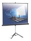 Экран Projecta на штативе ProView 178x178см Matte White (10430113)