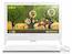 Моноблок Lenovo c20-30 19.5" Full HD P 3825U/4Gb/500Gb/820 2Gb/DVDRW/Windows 10/WiFi/клавиатура/мышь/Cam/белый 1920x1080