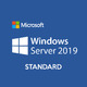 Операционная система Microsoft Windows Svr Std 2019 Rus 64bit DVD DSP OEI 16 Core
