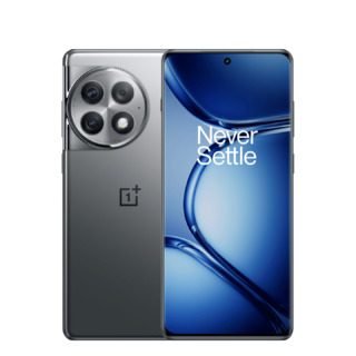 Смартфон OnePlus Ace 2 Pro 5G 24/1Tb PJA110 Grey