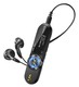 Плеер Flash Sony NWZB162FB 2Gb black