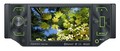 Автомагнитола DVD Prology DVS-1450T B/G TFT 4.3" USB MP3 SD TV-tuner Bluetooth