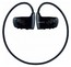 Плеер Flash Sony NWZW262FB 2Gb Black