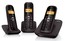 Телефон Siemens Dect Gigaset AS200TRIO (базовый телефон и 2 шт. доп. трубки)