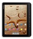 Электронная книга PocketBook 10" A10 черно-белый (Android 2.3.4,WiFi,Touch screen)