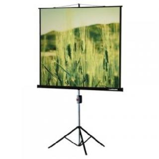 Экран на штативе Lumien Eco View 200x200 см с возможностью настенного крепления (LEV-100103)