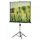 Экран на штативе Lumien Eco View 200x200 см с возможностью настенного крепления (LEV-100103)