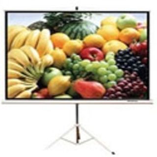 Экран на штативе Lumien Master View 244x244 см Matte White FiberGlass (LMV-100105)