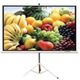 Экран на штативе Lumien Master View 244x244 см Matte White FiberGlass (LMV-100105)
