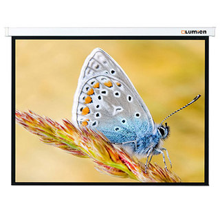 Экран Lumien Master Control 141x220 см Matte White , с электроприводом (LMC-100129)