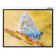 Экран Lumien Master Control 141x220 см Matte White , с электроприводом (LMC-100129)