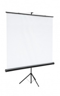 Экран настенный Digis Optimal-B DSOB-4303  MW 200x150 (4:3)