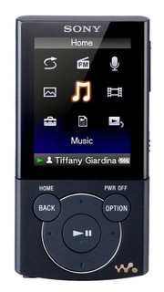 Плеер Flash Sony NWZE445B 16Gb D&D черный