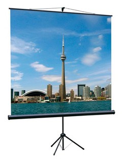 Экран на штативе Lumien Eco View 150x150 см с возможностью настенного крепления (LEV-100101)