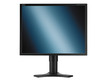 Монитор NEC TFT 21" LCD2190UXp DVI (black) (2190UXP-BK)