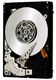 Жесткий диск IBM HDD IBM RET 146GB 2.5" SAS Slim-HS 10K 6Gbps blade HS12/HS22  (42D0632 )