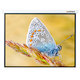 Экран Lumien Master Control LMC-100114 189x240 см Matte White FiberGlass,  с электроприводом