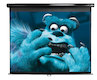 Экран Elite Screens M113UWS1 (113"/1:1) 203x203cm, настенный, ручной, MW, черн. корпус