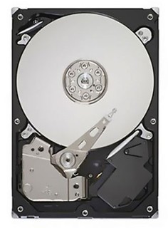 Жесткий диск Seagate SATA-II 1Tb ST31000528AS (7200rpm) 32Mb