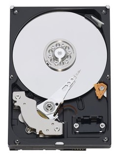 Жесткий диск WD SATA-II 160Gb WD1600AAJS (7200rpm) 8Mb
